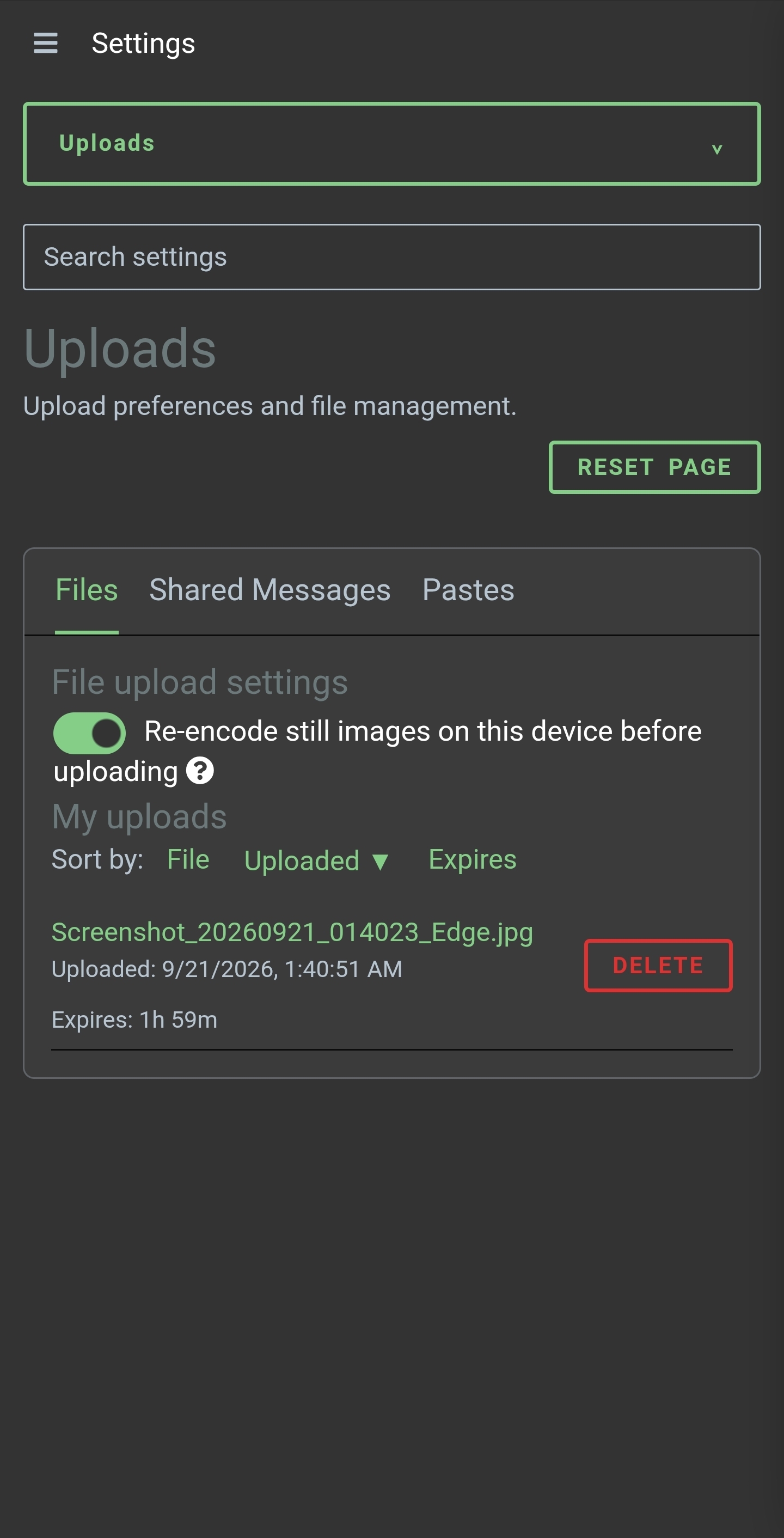 Upload settings show image re-encoding and an uploaded screenshot with expiry and delete controls.